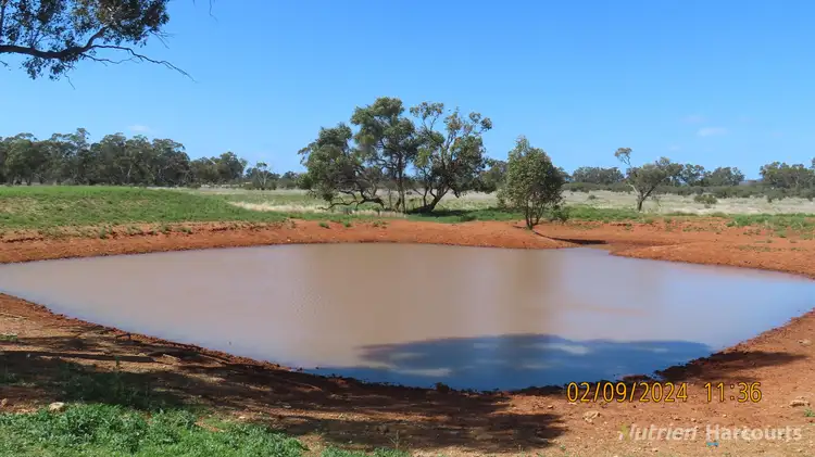 Sixth view of Homely rural property listing, * Needlewood, Nymagee NSW 2831