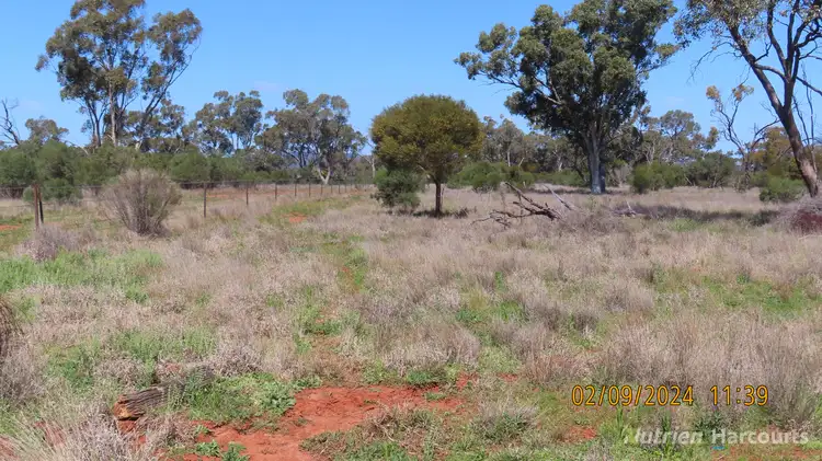 Seventh view of Homely rural property listing, * Needlewood, Nymagee NSW 2831