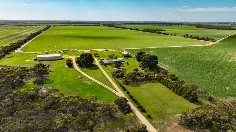 Second view of Homely rural property listing, 6485 Dukes Highway, Coonalpyn SA 5265