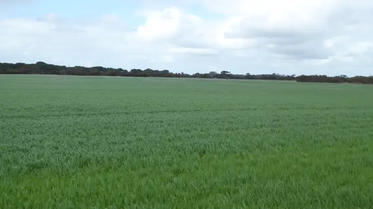 Third view of Homely rural property listing, 6485 Dukes Highway, Coonalpyn SA 5265