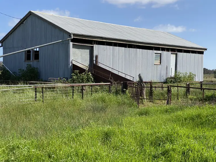 Fifth view of Homely rural property listing, 130 Hunters Lane, Bogan Gate NSW 2876