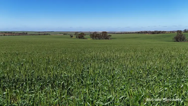 Second view of Homely rural property listing, 5670 Soldiers Road, West Holleton WA 6369