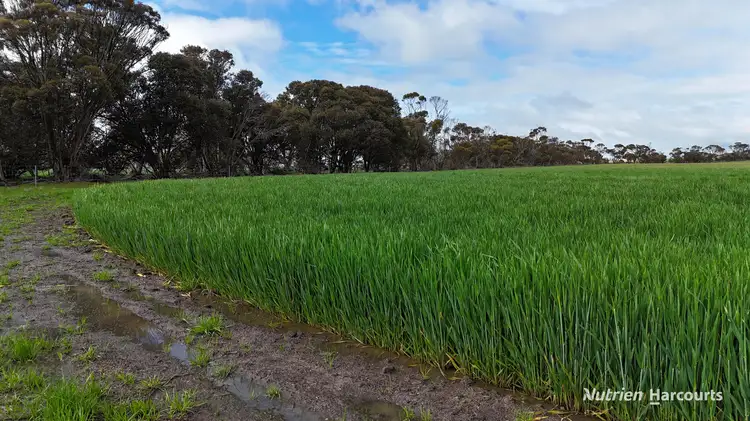 Fourth view of Homely rural property listing, 1021 Kwobrup Road, Pallinup WA 6335