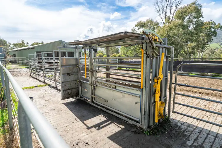 Fourth view of Homely rural property listing, 1038 Sandy Creek Road, Sandy Creek VIC 3695