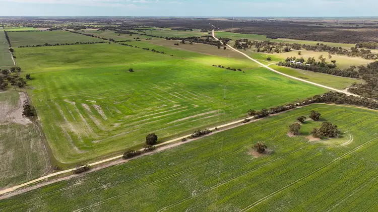 Main view of Homely rural property listing, 690 Heinrich Road, Coonalpyn SA 5265