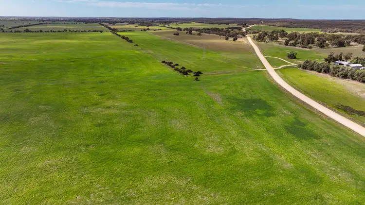 Second view of Homely rural property listing, 690 Heinrich Road, Coonalpyn SA 5265