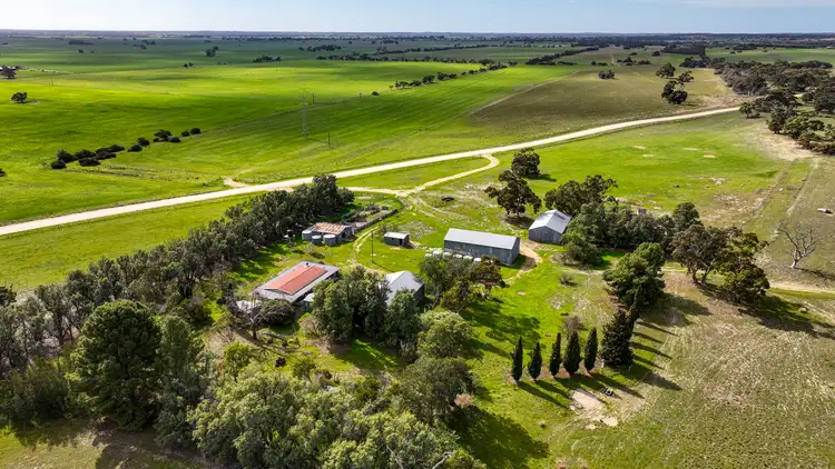 Third view of Homely rural property listing, 690 Heinrich Road, Coonalpyn SA 5265