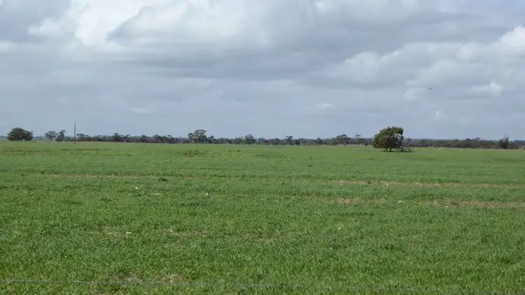 Sixth view of Homely rural property listing, 690 Heinrich Road, Coonalpyn SA 5265