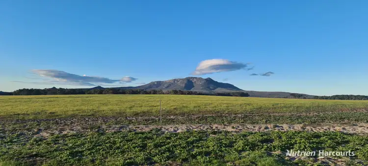 Third view of Homely rural property listing, 43007 South Coast Highway, Manypeaks WA 6328