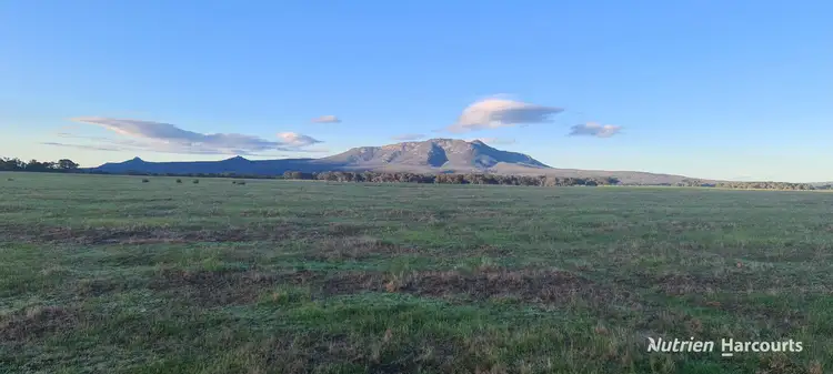 Fourth view of Homely rural property listing, 43007 South Coast Highway, Manypeaks WA 6328