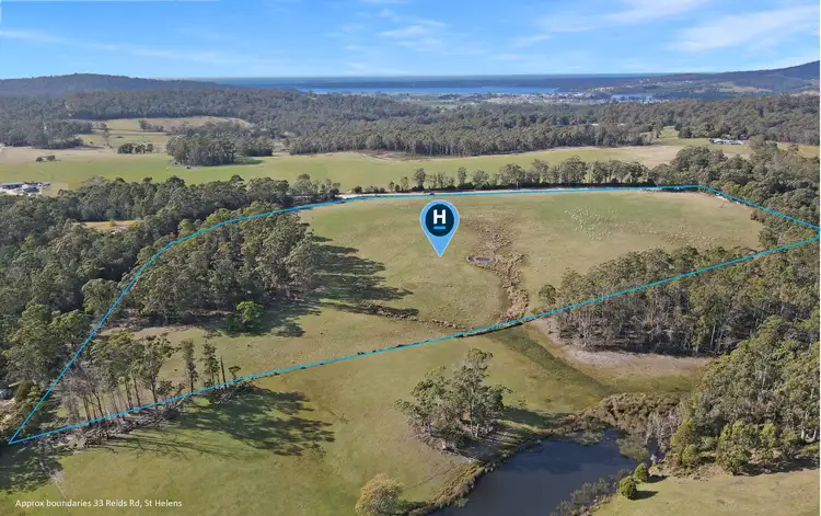 Second view of Homely rural property listing, 33 Reids Road, St Helens TAS 7216