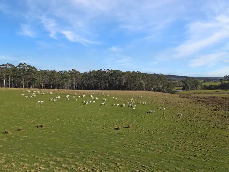 Fifth view of Homely rural property listing, 33 Reids Road, St Helens TAS 7216