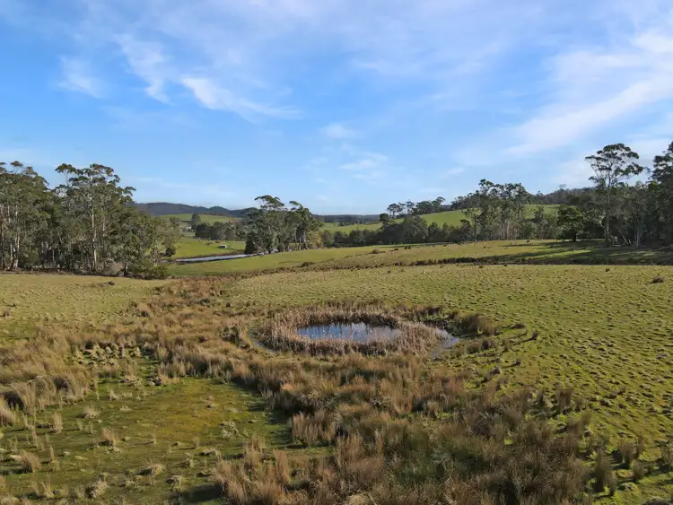 Seventh view of Homely rural property listing, 33 Reids Road, St Helens TAS 7216
