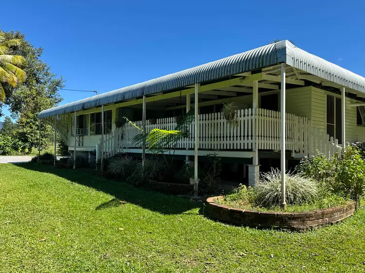 687 Old Tully Road, Djarawong QLD 4854