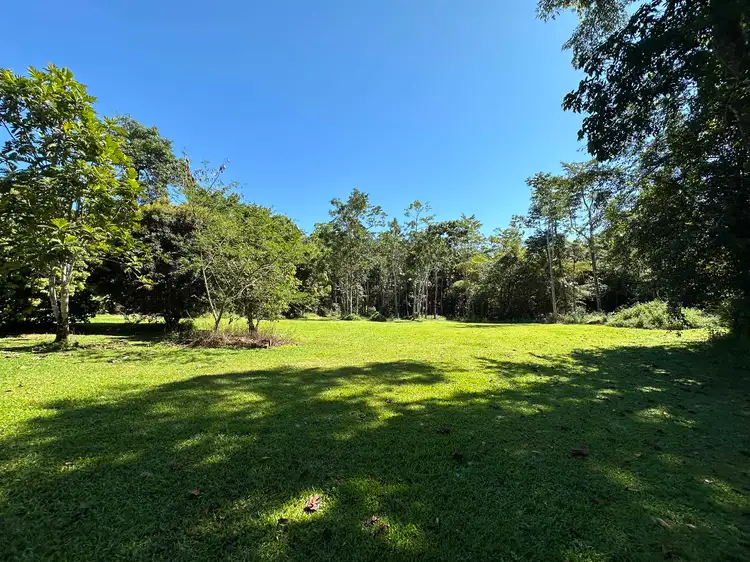 Fourth view of Homely rural property listing, 687 Old Tully Road, Djarawong QLD 4854