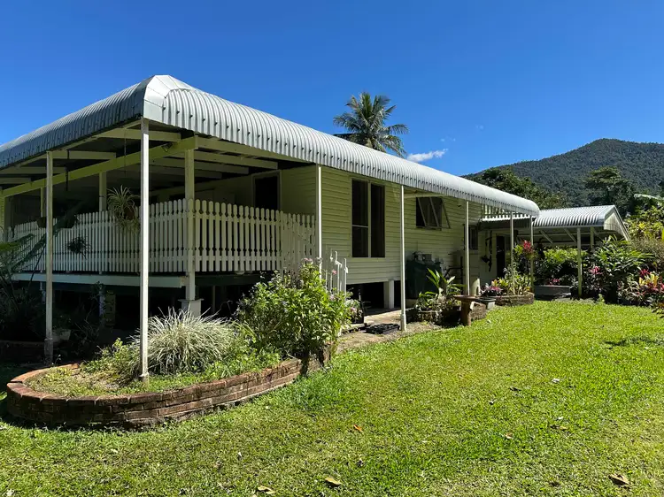 Fifth view of Homely rural property listing, 687 Old Tully Road, Djarawong QLD 4854