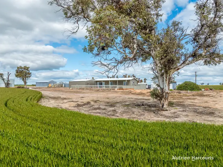 Sixth view of Homely rural property listing, 1393 Calingiri-Goomalling Road, Calingiri WA 6569