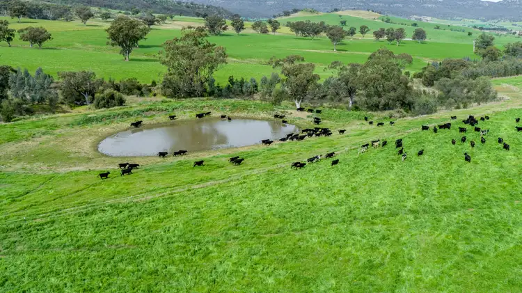 Main view of Homely rural property listing, 'Peberdy' 511-513 Dalswinton Rd, Denman NSW 2328