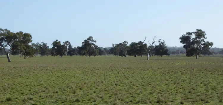 Third view of Homely rural property listing, 650 Prosser Road, Tintinara SA 5266