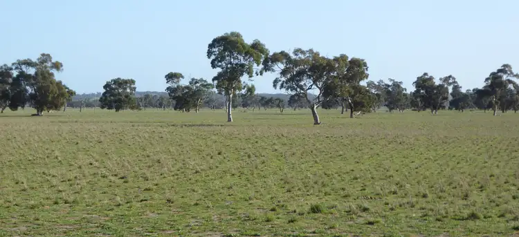 Fourth view of Homely rural property listing, 650 Prosser Road, Tintinara SA 5266