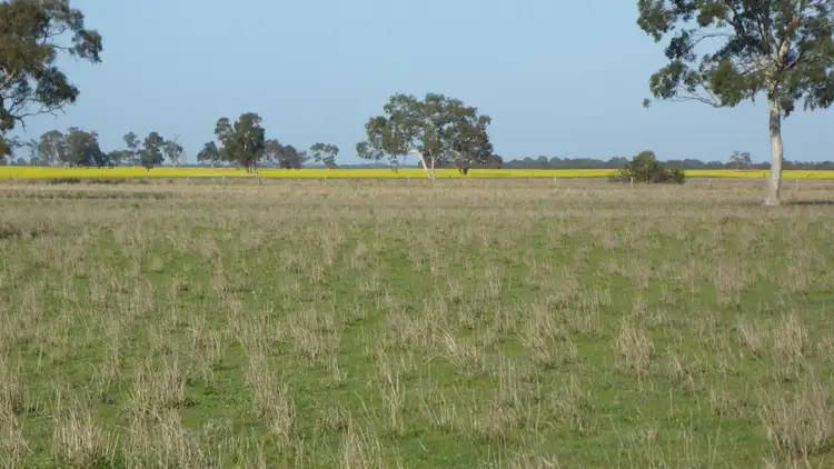 Sixth view of Homely rural property listing, 650 Prosser Road, Tintinara SA 5266