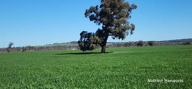Main view of Homely rural property listing, . Mattingly Road, Brookton WA 6306