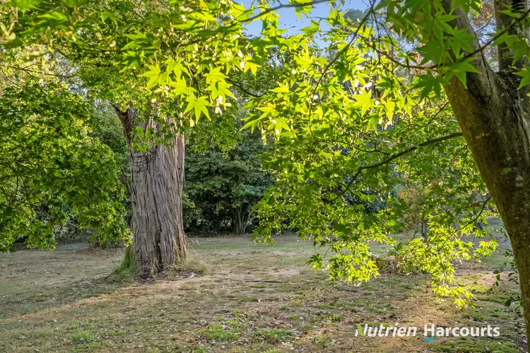 Seventh view of Homely land listing, 16 Egan Street, Timboon VIC 3268
