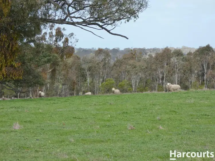Fourth view of Homely rural property listing, 1790 Harrow-Balmoral Road, Balmoral VIC 3407