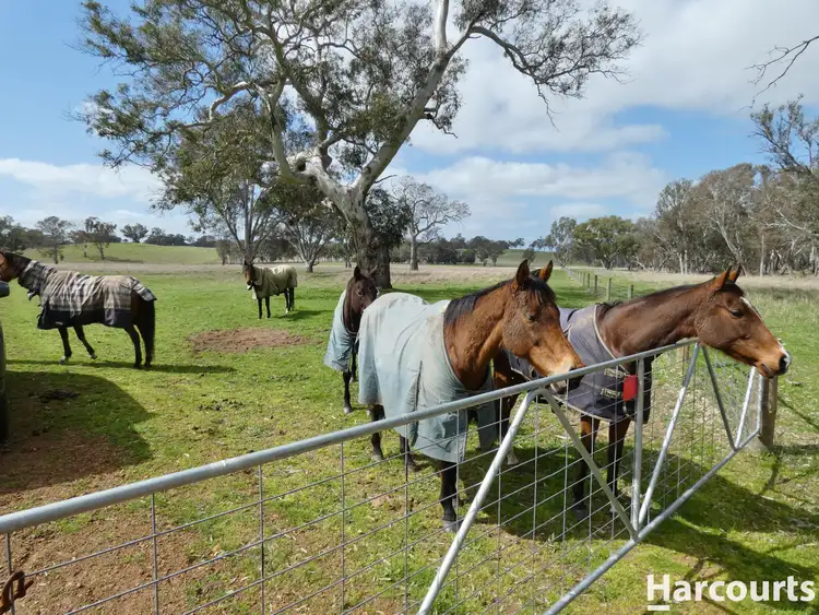 Fifth view of Homely rural property listing, 1790 Harrow-Balmoral Road, Balmoral VIC 3407