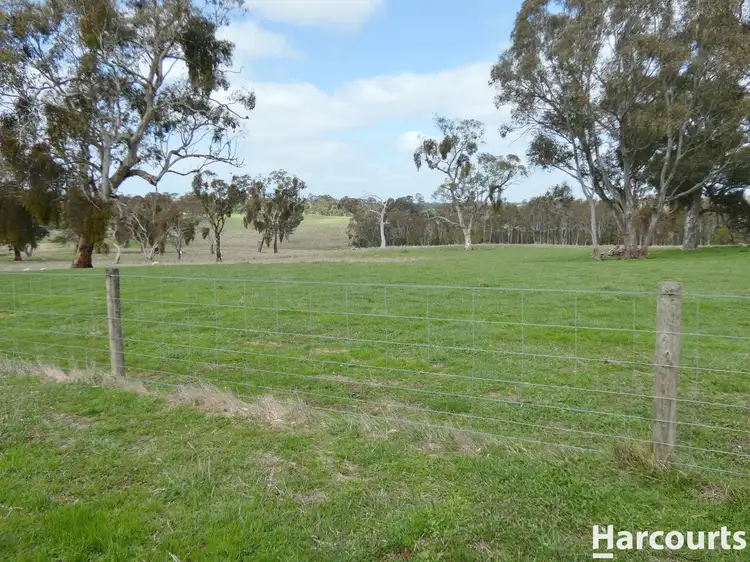 Seventh view of Homely rural property listing, 1790 Harrow-Balmoral Road, Balmoral VIC 3407