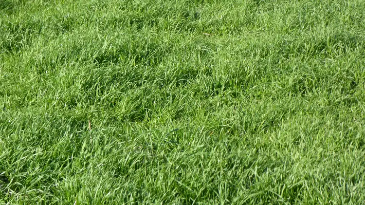 Fourth view of Homely rural property listing, Address available on request