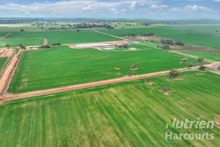 Third view of Homely rural property listing, 1875 Bunnaloo Road, Bunnaloo NSW 2731