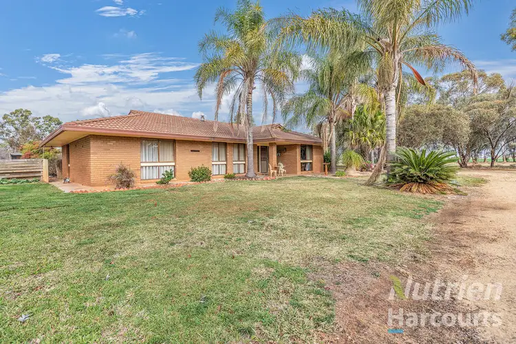 Sixth view of Homely rural property listing, 1875 Bunnaloo Road, Bunnaloo NSW 2731