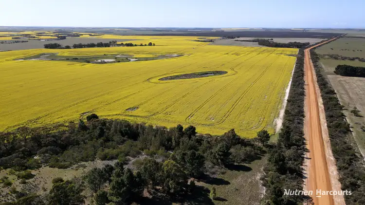 Fifth view of Homely rural property listing, Lot 148 Savage Road, Neridup WA 6450