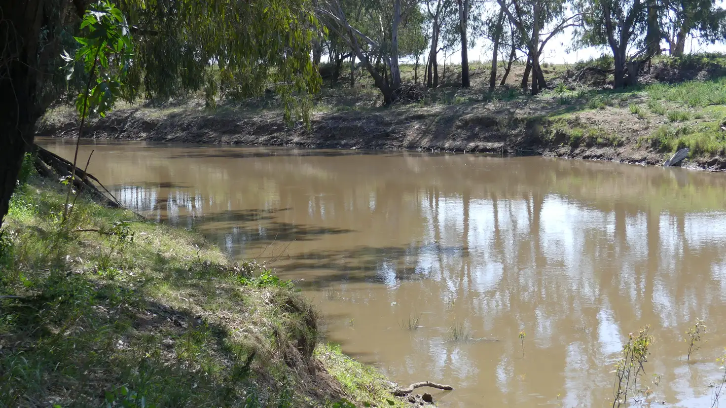 Main view of Homely land listing, The Four Mile Carinda Rd, Warren NSW 2824
