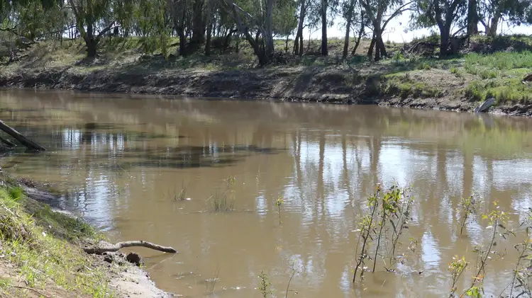 Third view of Homely land listing, The Four Mile Carinda Rd, Warren NSW 2824