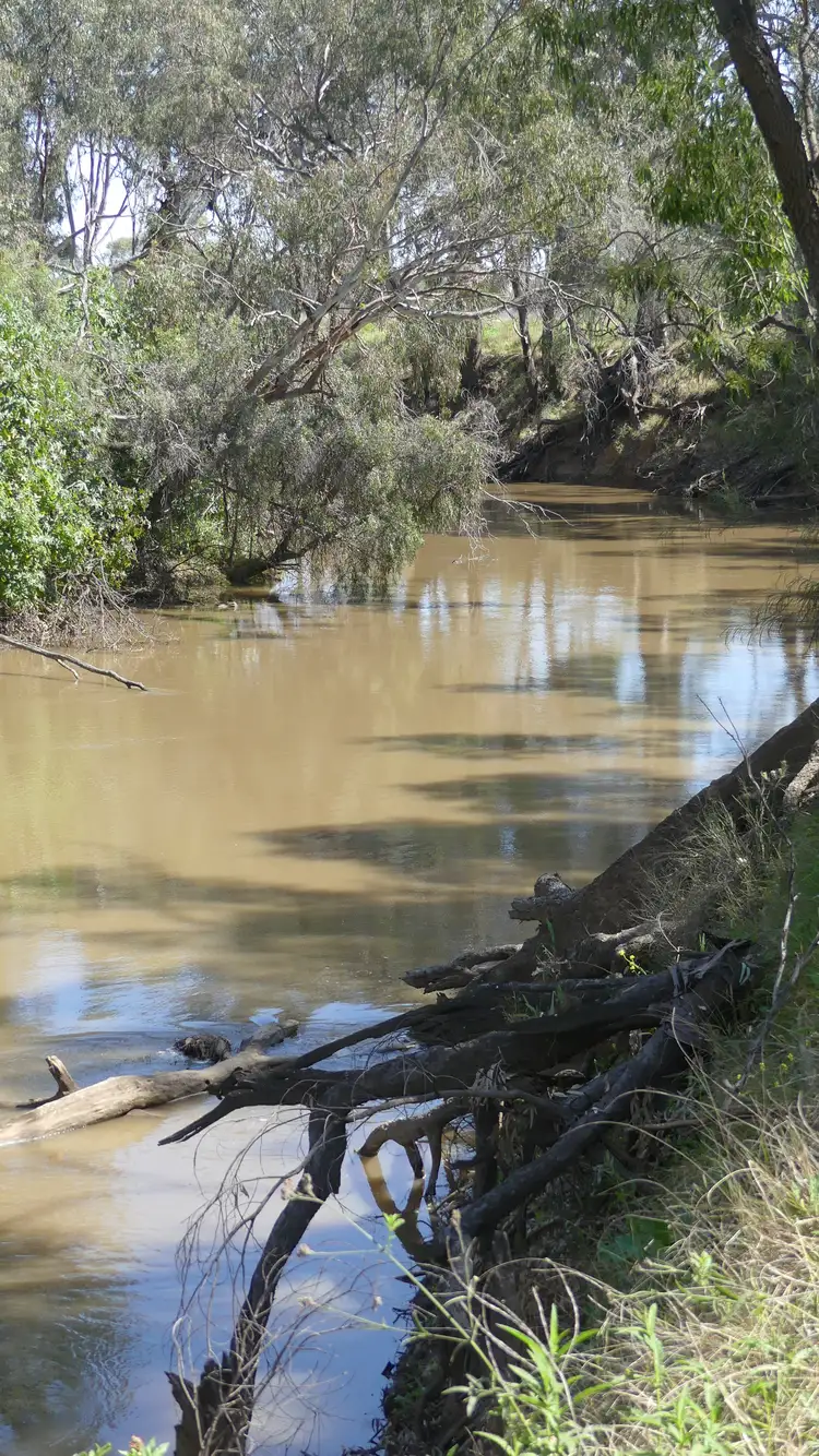 Sixth view of Homely land listing, The Four Mile Carinda Rd, Warren NSW 2824