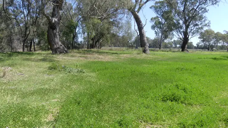 Seventh view of Homely land listing, The Four Mile Carinda Rd, Warren NSW 2824
