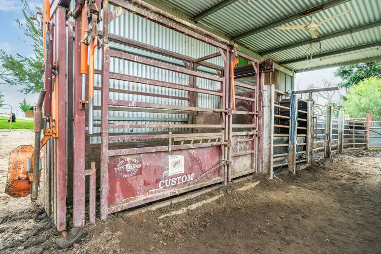 Sixth view of Homely rural property listing, Homestead 242 Back Nacki Creek Road, Sharps Creek NSW 2729