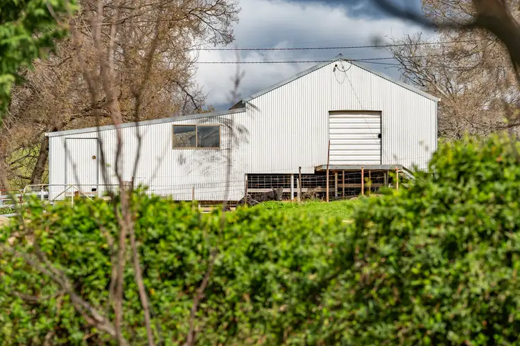 Seventh view of Homely rural property listing, Homestead 242 Back Nacki Creek Road, Sharps Creek NSW 2729