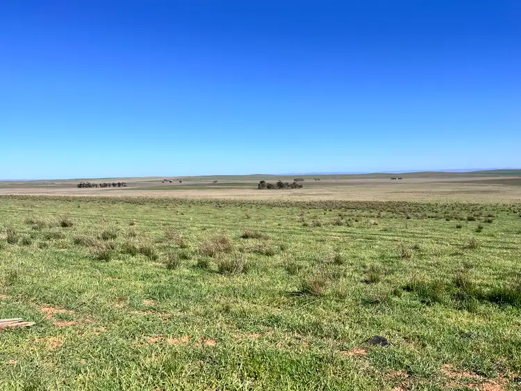 Main view of Homely rural property listing, "Strathayr" 846 Cleary Road, Sunnybrae SA 5422