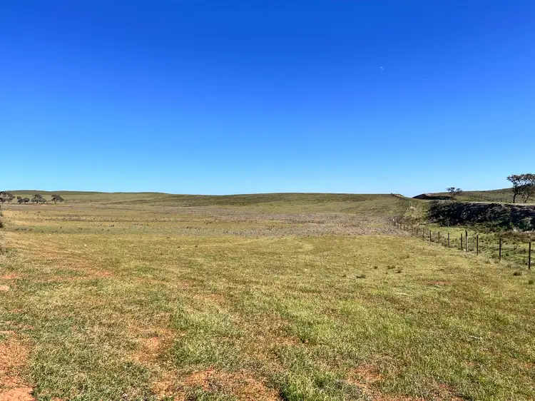 Third view of Homely rural property listing, "Strathayr" 846 Cleary Road, Sunnybrae SA 5422