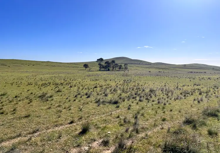 Fourth view of Homely rural property listing, "Strathayr" 846 Cleary Road, Sunnybrae SA 5422