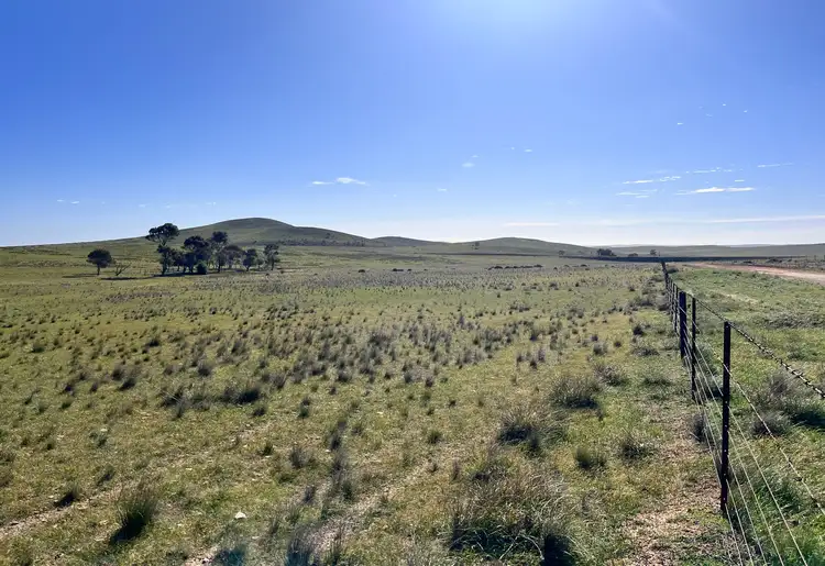 Sixth view of Homely rural property listing, "Strathayr" 846 Cleary Road, Sunnybrae SA 5422