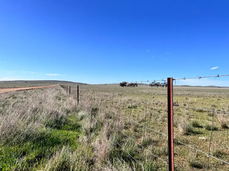 Seventh view of Homely rural property listing, "Strathayr" 846 Cleary Road, Sunnybrae SA 5422