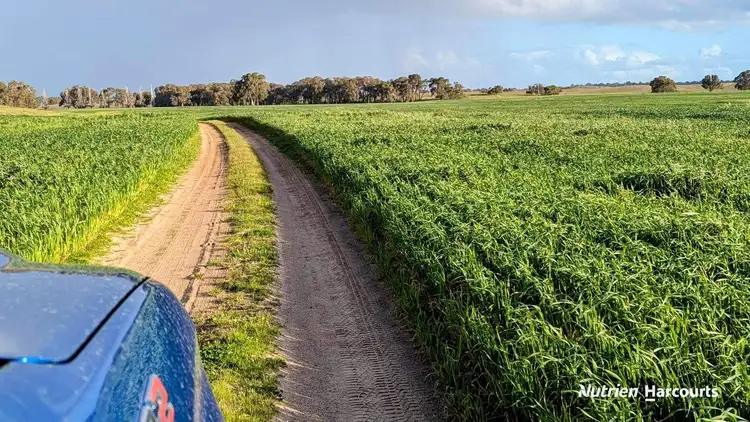 Sixth view of Homely rural property listing, 420 Baramba Road, Karakin, Gingin WA 6503