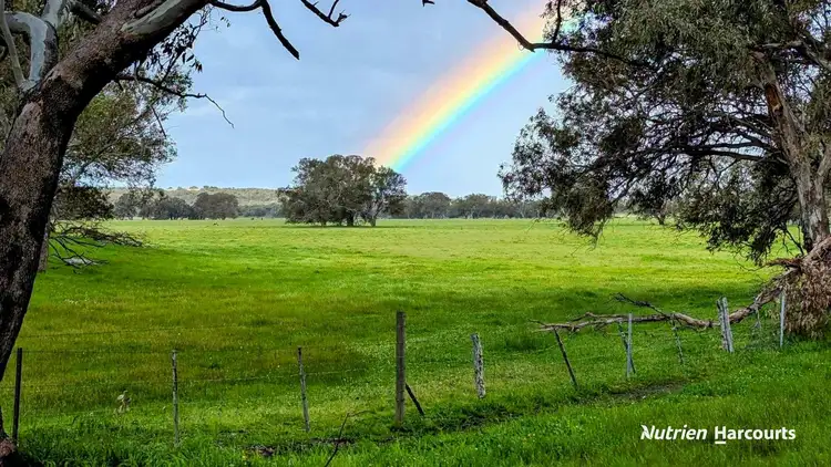Seventh view of Homely rural property listing, 420 Baramba Road, Karakin, Gingin WA 6503