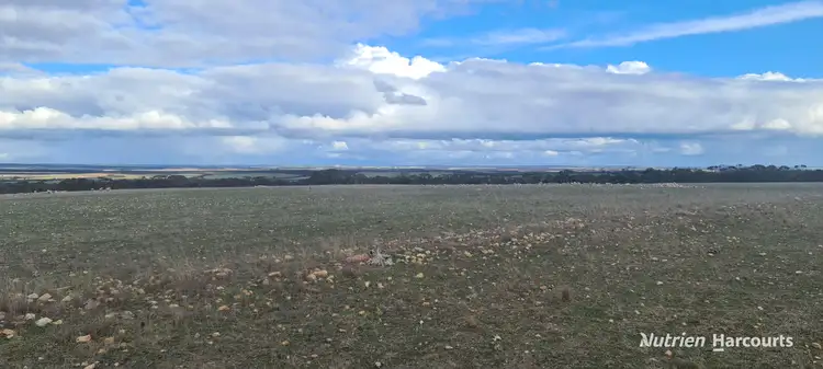 Second view of Homely rural property listing, 1467 Boxwood Hill-Ongerup Road, Boxwood Hill WA 6338