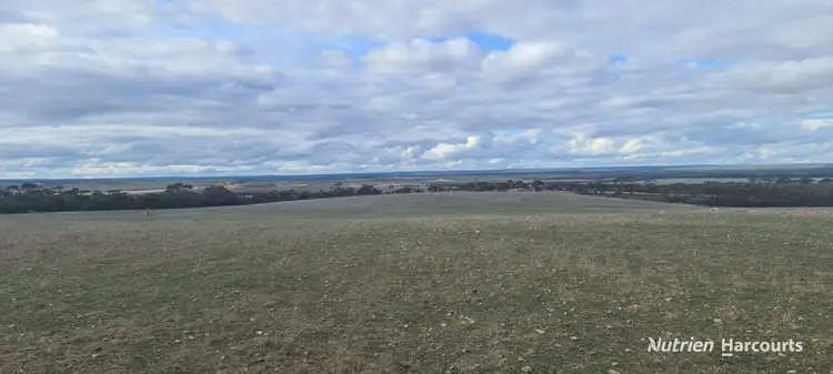 Fourth view of Homely rural property listing, 1467 Boxwood Hill-Ongerup Road, Boxwood Hill WA 6338
