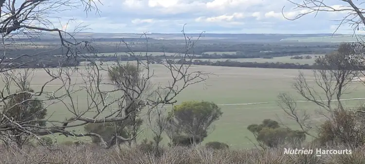 Fifth view of Homely rural property listing, 1467 Boxwood Hill-Ongerup Road, Boxwood Hill WA 6338